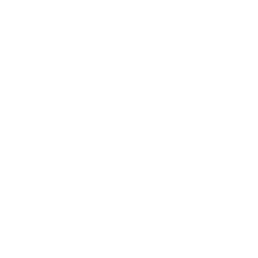 Favicon-Riforma-Di-Casa-white-258x258